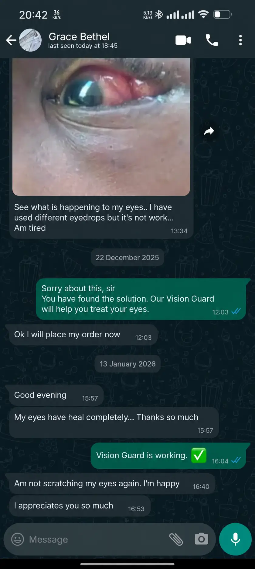 vision-guard-grace-review-tiny.webp