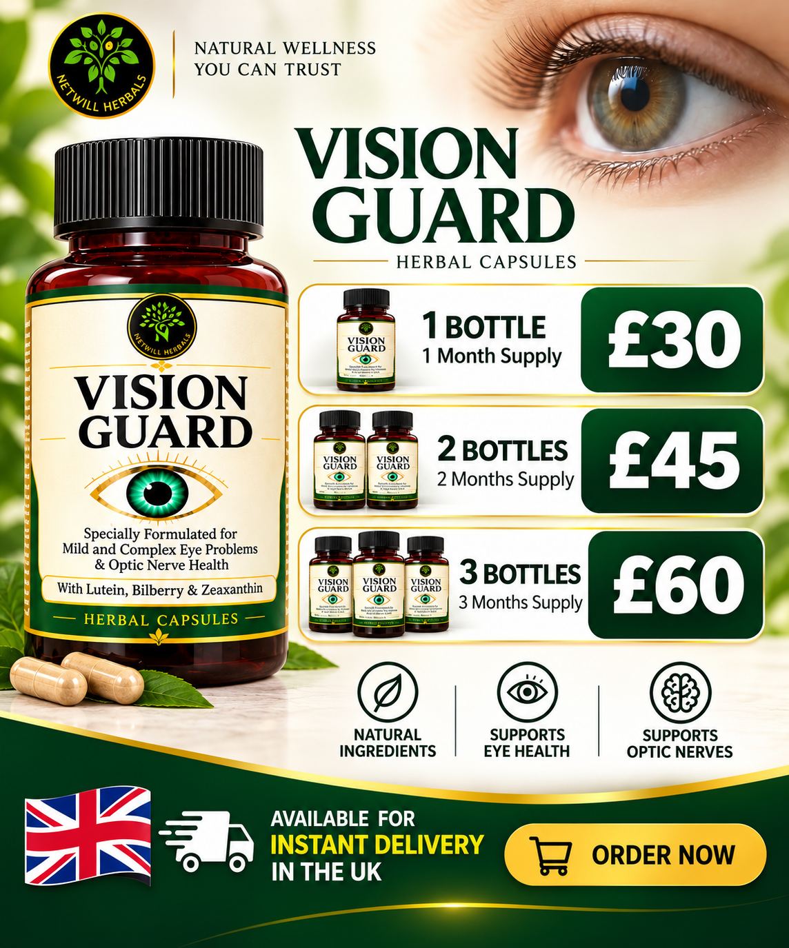 vision_guard_flyer_compressed.jpg